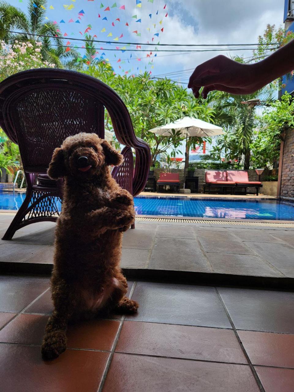 Jasmine Lodge Siem Reap Exterior photo